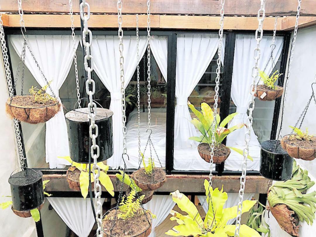 Rimba Jonker, Melaka Heritage Residance Luaran gambar
