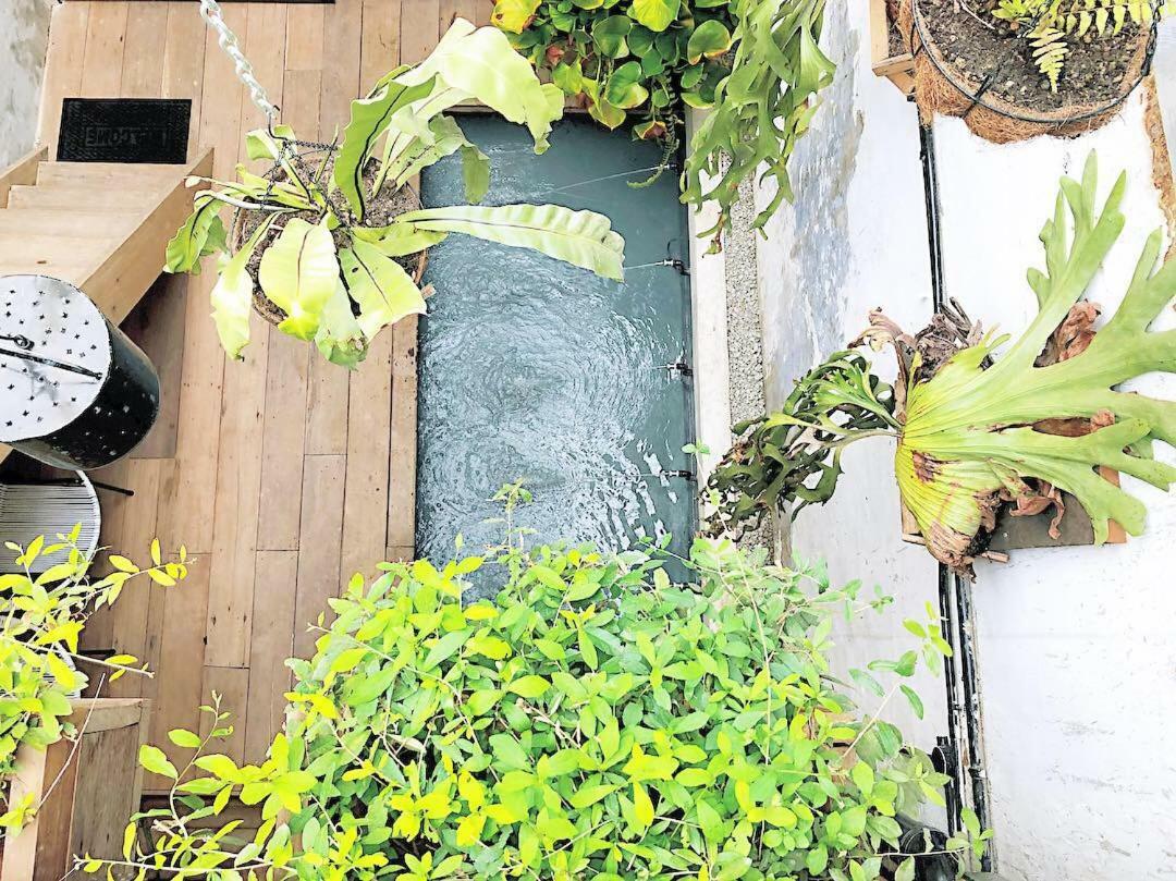 Rimba Jonker, Melaka Heritage Residance Luaran gambar